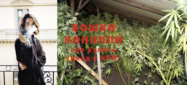 PSILOCYBIN Аркадак